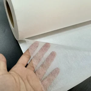 100% PA Hot Melt Adhesive Web With Paper Iron on Fusible Bonding Web