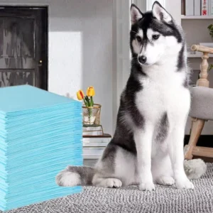 45x60cm FREE SAMPLE Quick Drying Surface Super Absorbent Core Puppy Pet Training Potty Dog Pee Pads