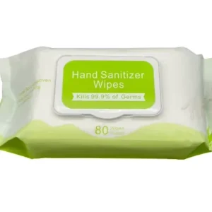 80ct Hand Sanitizer Wipes Antibacterial Body & Hand Wipes Alcohol Free Antiseptic Wet Sanitizer Towelettes