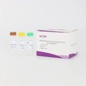 ASFV Pre Assembled Fluorescent PCR Kit Ready to Use High Sensitivity 50 Reactions