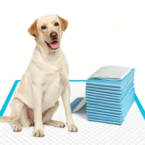 Absorb Small Disposable Dog Training Pad Toilet Waterproof Dogs Pee Mat for Lavender Puppy Pet Pads