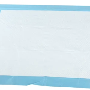 Absorbent Pad