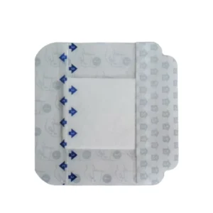 Adhesive Wound Dressing Non-Woven Wound Dressing High Absorption Wound Dressing