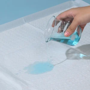 Adult Patients Using Intermittent Pad for Incontinence Elderly Women Using Maternity Postpartum Pad or Disposable Diaper
