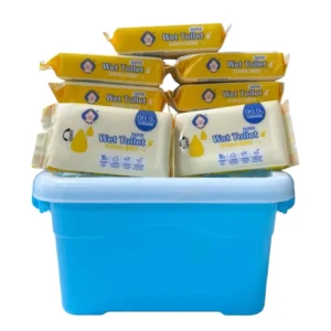 Antibacterial Washable Eco-Friendly Mini Wet Toilet Paper Daily Care Non-Alcoholic Household Wet Wipes 10packs Mini Storage Box