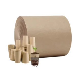 Aqueous Plastic Free Biodegradable Bamboo Fiber Pulp Paper Roll Coffee Paper Roll Disposable Eco Friendly Custom Rolling Papers