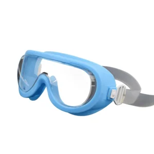 Autoclavable Anti-Fog Anti-Chemical Splash Safety Goggles Plastic Frame Transparent Lenses Eye Protection for Pharmaceutical Use