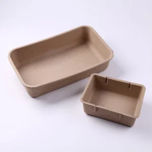 Biodegradable Recycled Paper Pulp Bagasse Mould Packaging Pulp Mold Container