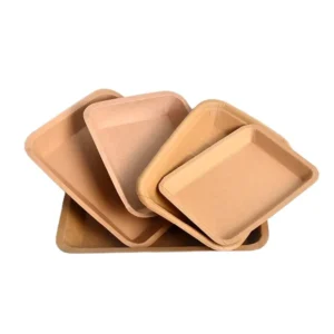 Blue Paper Food Trays Small Cardboard Kraft Eco Friendly for Catering Events Takeout