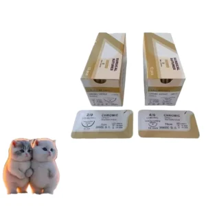 CE Marked Absorbable Customizable PGA 910 Vicryll Chromic Catgut 45cm 75cm 90cm 2 0 3 0 4 0 Surgical Suture for Human Animal