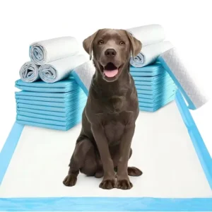 Coastal Heavy Absorbency Leak Protection Disposable Pet Training Pads for Dogs & Cats
