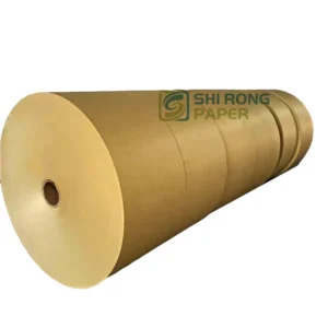 Custom Raw Material 150-300g/square Meters Single Pe Coated White Kraft Paper Roll
