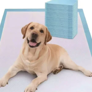 Custom Size Adult Incontinence Pet Dog Pad Blue Urine Absorbing Disposable Waterproof Bed Sheet Fluff Pulp Pet Underpad