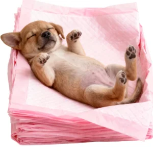 Custom Super Absorbent Odor Control Disposable Pet Potty Training Pad Deodorizing Waterproof Pet Urine Bed Sheet Pet Urine Mat