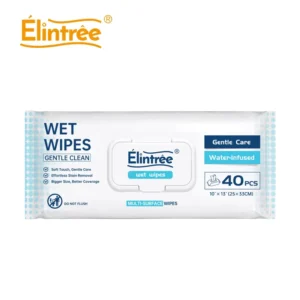 Custom Unscented Adult Flushable Disposable Wet Wipes Biodegradable Disposable Wipes Household Cleaning Wipes Free Samples