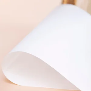 Customized Eco Friendly 100m Length High Gloss Recycled Wet Strength Waterproof PVC Coated Paper Rolls Medical Sterile