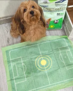 Customized Logo Disposable Leakproof Quick Dry Super Absorbent Extra Large Puppy Potty Training Pee Pads for Dogs