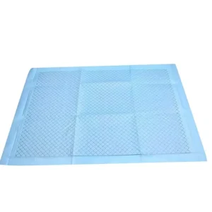 Customized Packing Disposable Medical Bed Pad Underpad 60x90cm Ozone Disinfected CE ISO Certified