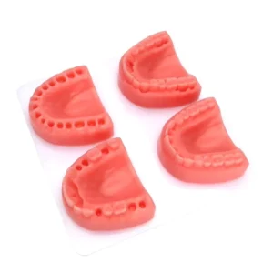 Dental Suture Training Pad Dental Model for Suture Practice Oral Suture Pad With Wounds