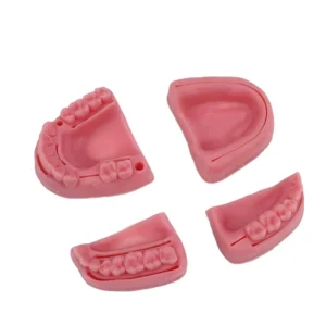 Dental Suturing Exercise Model Simulation Oral Model Training Suture Pad Practice Model