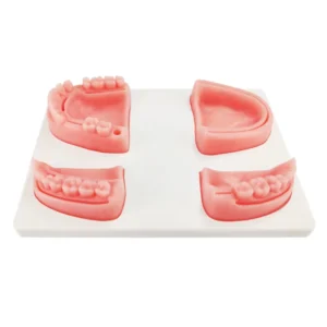 Dental Training Models Suture Pad for Practice Medical Science Product