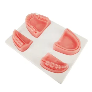 Dentistry School Teeth Suture Practice Models Dental Suture Training Pad Anatomical Model Medical Science