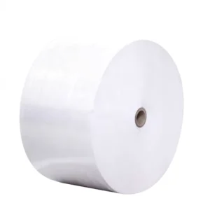 Direct Factory High Quality Thermal Label ECO Hotmelt and Acrylic Glue Self Adhesive in Jumbo Rolls