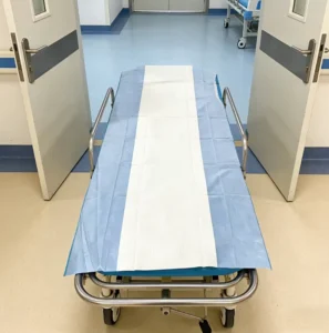 Disposable Bed Pad Underpad Special Purpose Care Pad Non Woven Fabric Water Absorbent Supports OEM and ODM