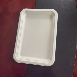 Disposable Biodegradable Sugarcane Tray Medical Picnic Paper Tray Rectangle Serving Tray