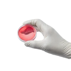 Disposable Examination Glovees Medical Powder Free Latex Gloves