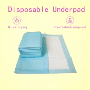 Disposable Pet Diapers Thick and Odorless Strong Water Absorption Training Pad