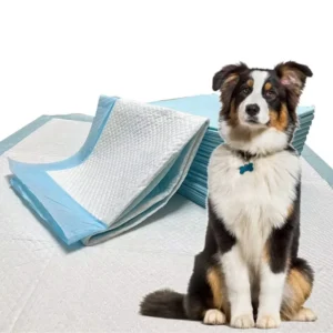 Disposable Plastic Pet Bed Waterproof Roll Up with Anti Slip Bottom Soft Cotton Pad for Outdoor Travel and Camping