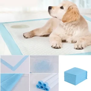 Disposable Underpad 60x60cm 60x90cm Adult Bed Pads Pet Training Pads with SAP Ultra Absorbent