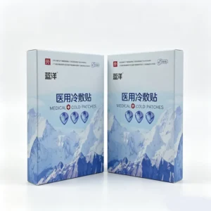 Double Insert Box for Medical Cold Patches with Colorful Printing Paper Box