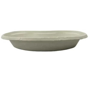 Eco Friendly Disposable Paper Pulp Kidney Tray Dish