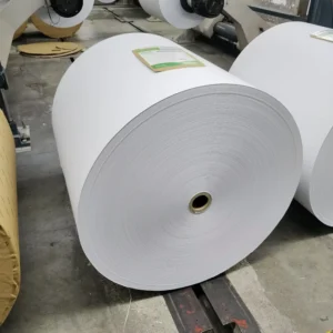 Eco Friendly Self Adhesive Free Offset Printing Paper Jumbo Roll 55g-80g White Wood Coated Packaged with Packing Tape