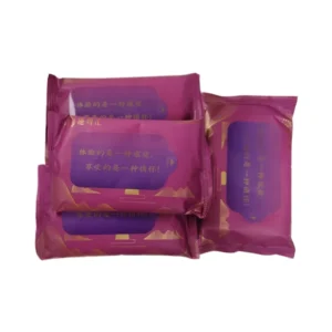 Eco Friendly Trendy Custom Logo Individual Feminine Care Multi pack Wet Wipes for Adult Cleaning