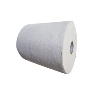 Embossed Dots Biodegradable Eco Friendly 2Ply Jumbo Paper Towel Rolls for Cafeterias Hospitals Janitorial Industrial Use