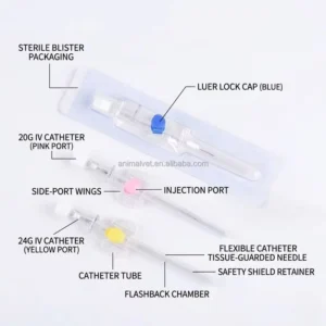 Export Ready IV Catheters Designed to Meet International Medical Standards