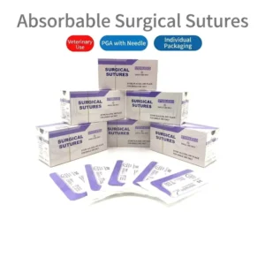 Factory Absorbable Veterinary Surgical Suture with Needle for Orthopedic Catgut Surgical Sutures