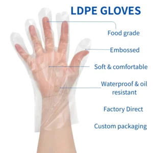 Factory Direct Thick Soft Waterproof Disposable Easy Wear BBQ Preparation Gloves LDPE Plastic Gloves for Fast Food Home