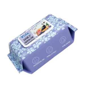 Flushable Eco Friendly Adult Wet Wipes Deodorizing Full Body Bathing Wipes with Aloe Antibacterial Hypoallergenic OEM Customized