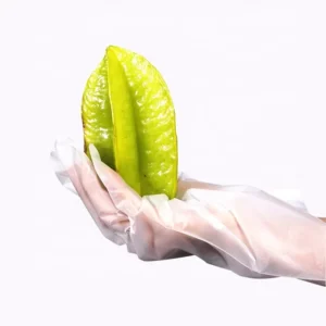 Food Safety Disposable Plastic TPE Glove Cleaning Kitchen Waterproof Biodegradable PE Gloves