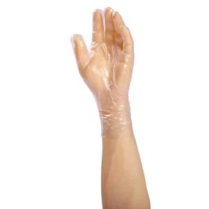 Food Safety Protective Transparent Compostable Disposable PE Gloves Cleaning HDPE Gloves Plastic Polyethylene Gloves
