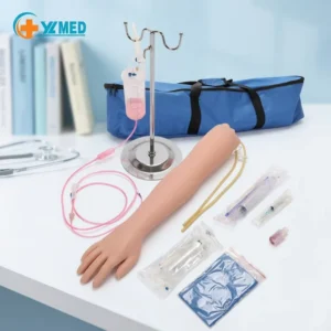 Full Functional Intravenous Infusion Puncture and Intramuscular Injection Arm Model Deltoid Vein Injection Model CE ISO