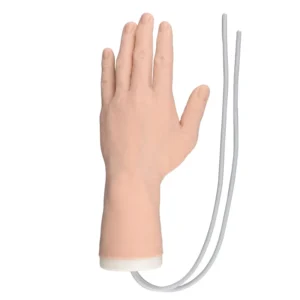 IV Practice Kit for Nursing Students and Paramedic Education and Medical Assisting Program and Venipuncture Course Phlebotomy Classes