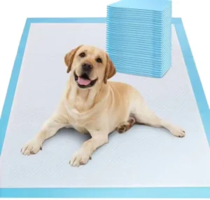 Kaida Extra Large Disposable Eco Friendly Fiber Dog Pee Pads IP67 Super Absorbent Leak Proof Puppy Potty Training