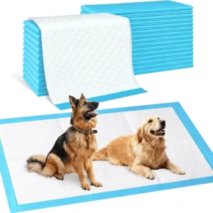 Leak Proof Disposable Under Pads Fashion Design for Dogs Puppies Pets Training Incontinence Sleeping Protection