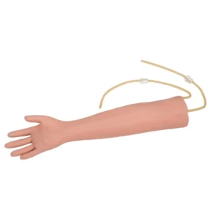 Medical Educational Venipuncture Injection Intravenous Simulator Elderly IV Training Arm Model