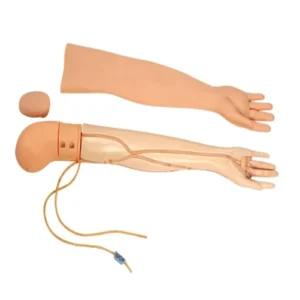 Medical Nursing Model Multi-functional Venipuncture and Intramuscular Injection Training Arm Model